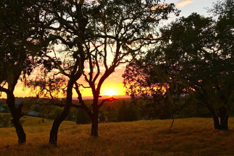 Sonoma Vital Lands Initiative