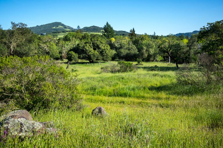 Year End Fund Drive Success!