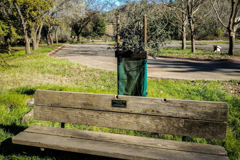 Celebrating Arbor Day