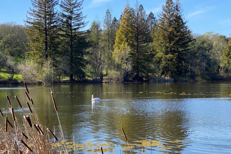 Who Once Lived Here?