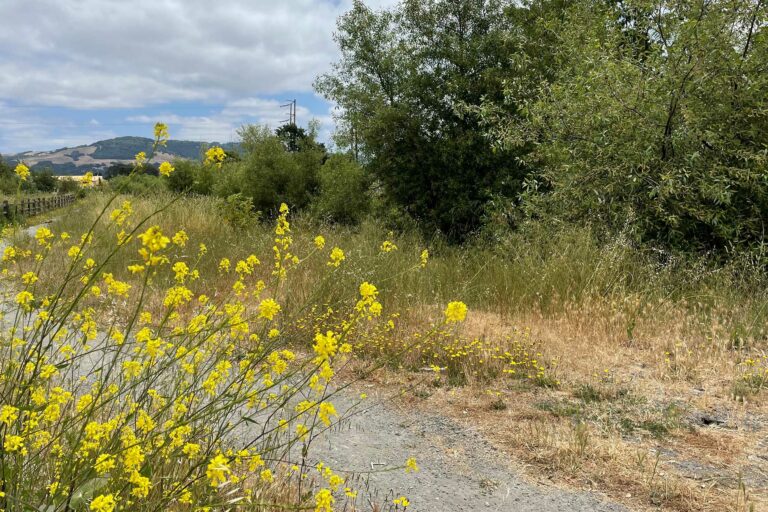 Explore Urban Walking Trails