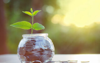 Image of glass jar with coins inside and a plant growing out the top to indicate giving and donating