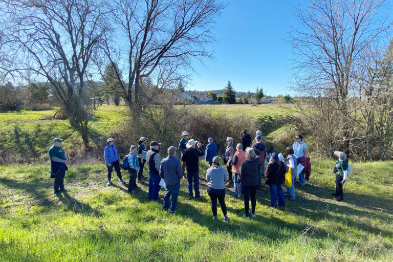 Participate in a Community Survey