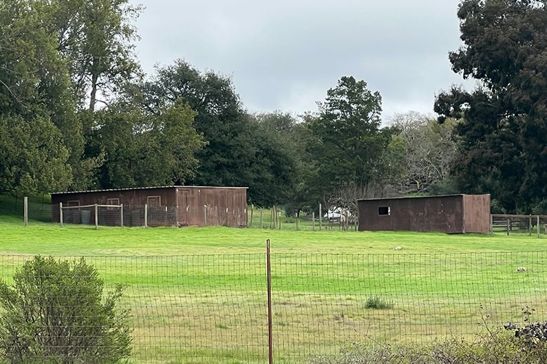 Two rustic barns on Southeast Greenway property that are being removed for safety reasons