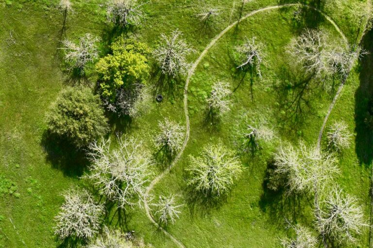 Upcoming April Events