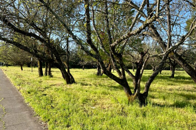 What’s New on the Greenway