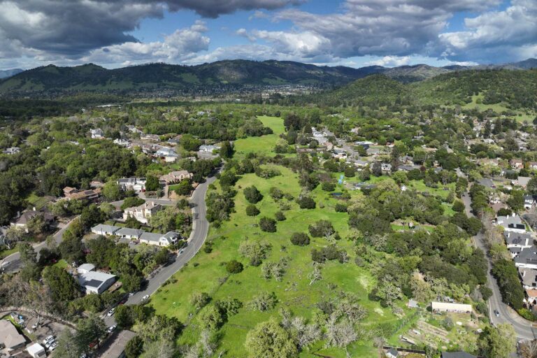 Upcoming July Events