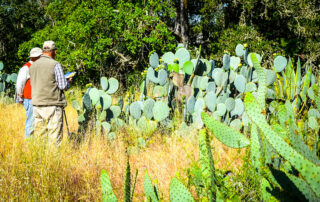 Two men conducting a biological survey on the Southeast Greenway property in Santa Rosa