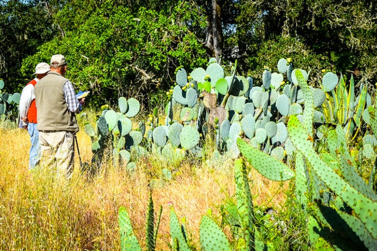 Diverse Ecosystem on the Greenway