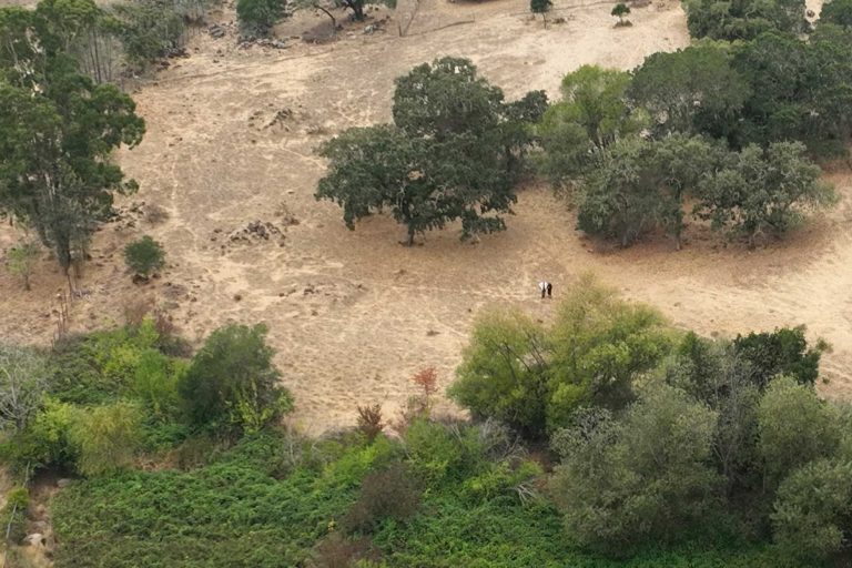 Upcoming Events for October