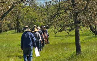 Photo of several people on guided walk on Southeast Greenway property in Santa Rosa