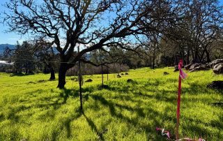 Southeast Greenway Property with survey markers