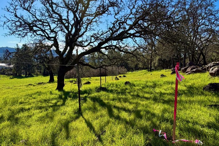 City Issues RFP for Master Plan