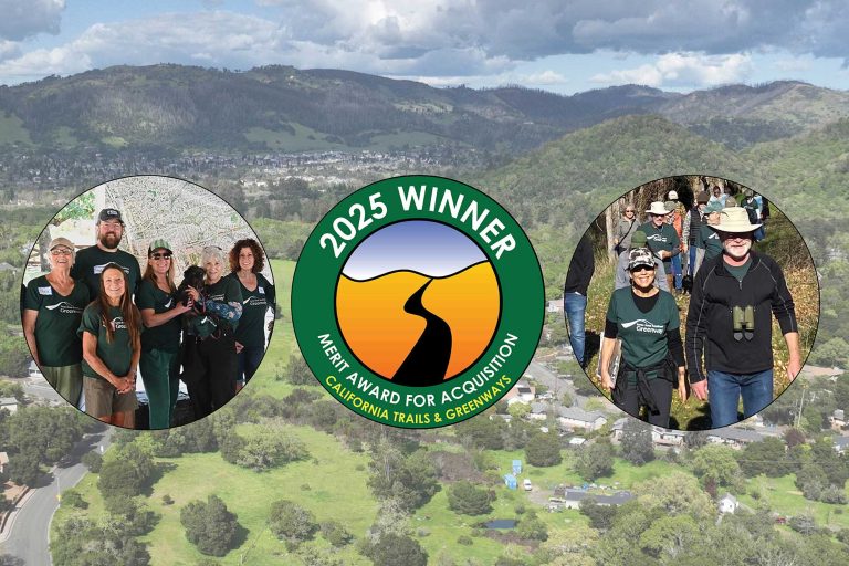 Reflections and the Road Ahead