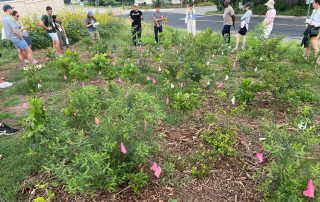 Group touring outdoor greenways in Austin Texas