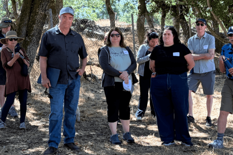Asm. Damon Connolly Walk & Talk