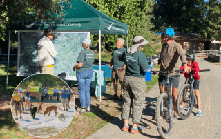 Tabling at Water Bark